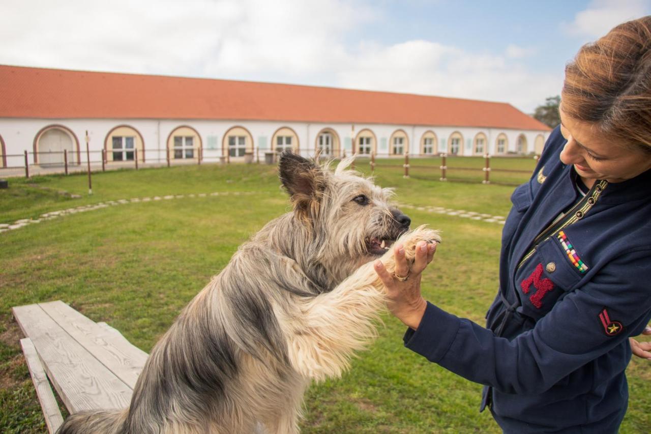 Chalets Franciska Major, Pro Village Sopronkovesd Dış mekan fotoğraf