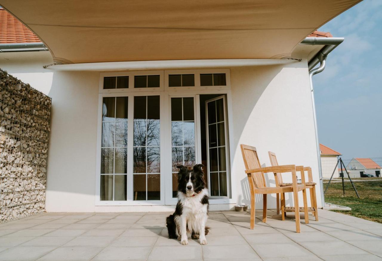 Chalets Franciska Major, Pro Village Sopronkovesd Dış mekan fotoğraf